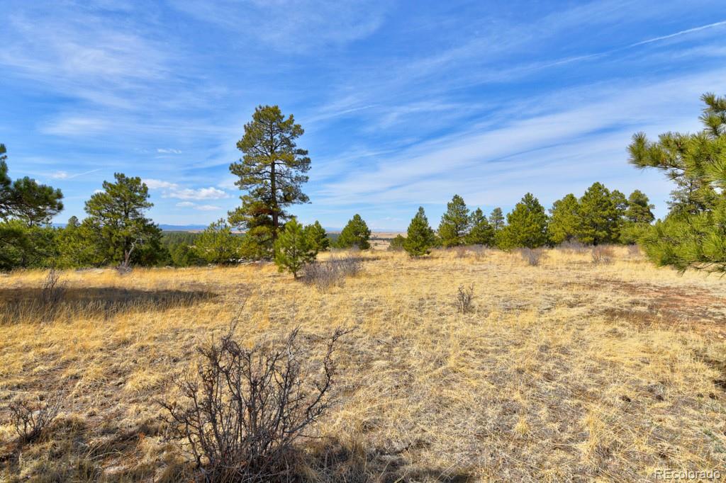 18673 N Elbert Road Elbert CO 80106