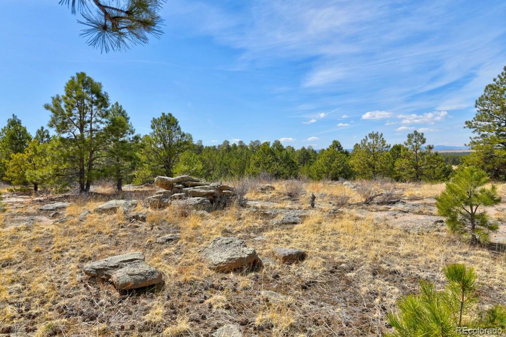 18673 N Elbert Road Elbert CO 80106