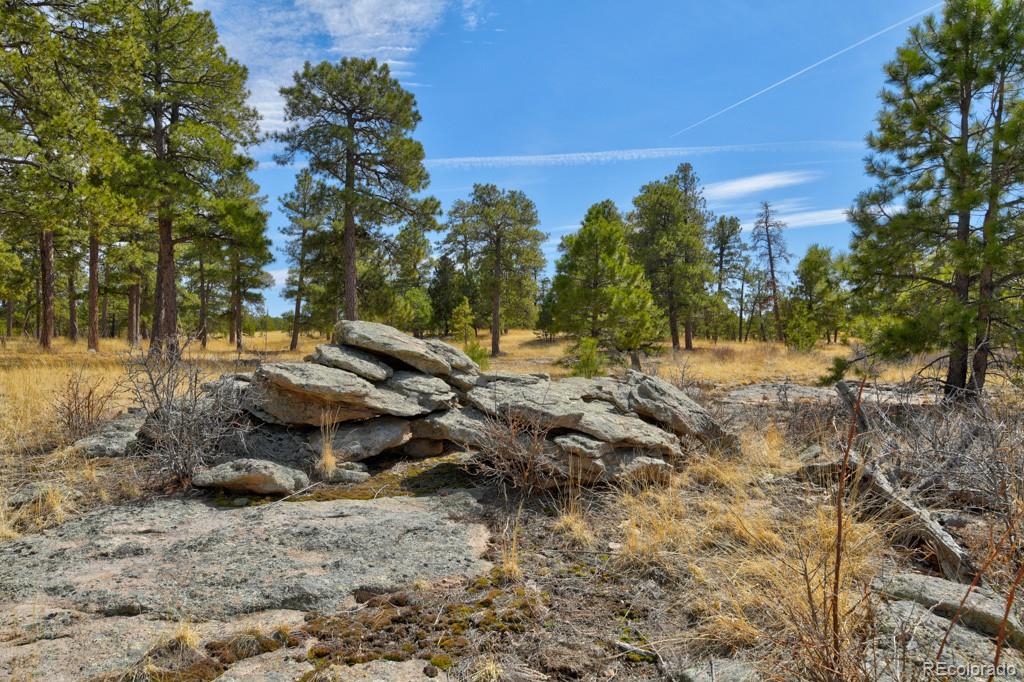 18673 N Elbert Road Elbert CO 80106
