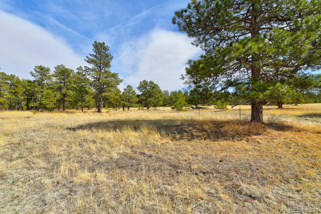 18673 N Elbert Road Elbert CO 80106
