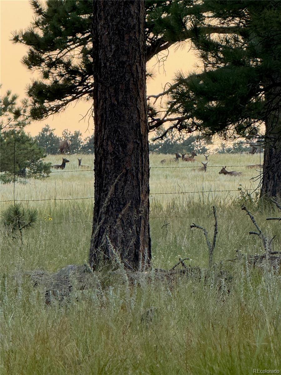 18673 N Elbert Road Elbert CO 80106