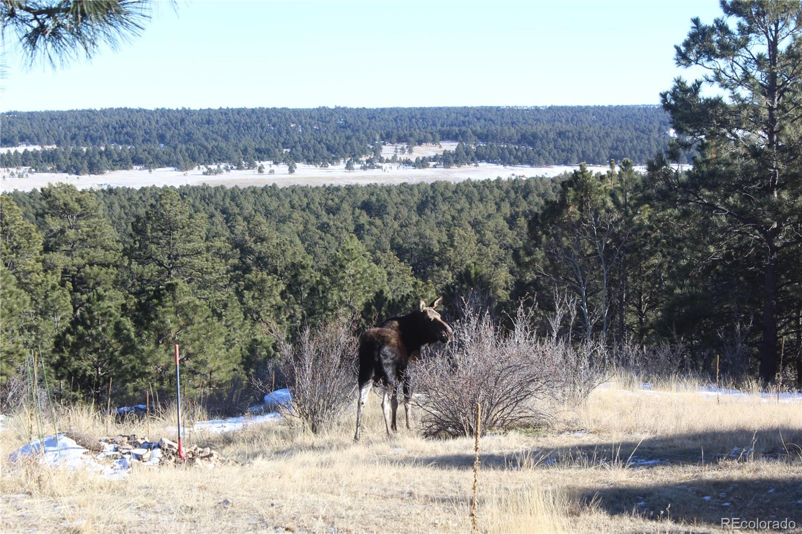 18673 N Elbert Road Elbert CO 80106