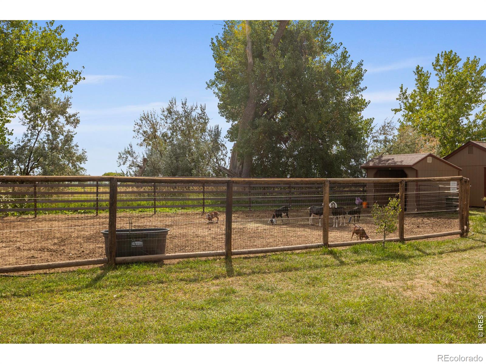 4260 S County Road 23 Loveland CO 80537