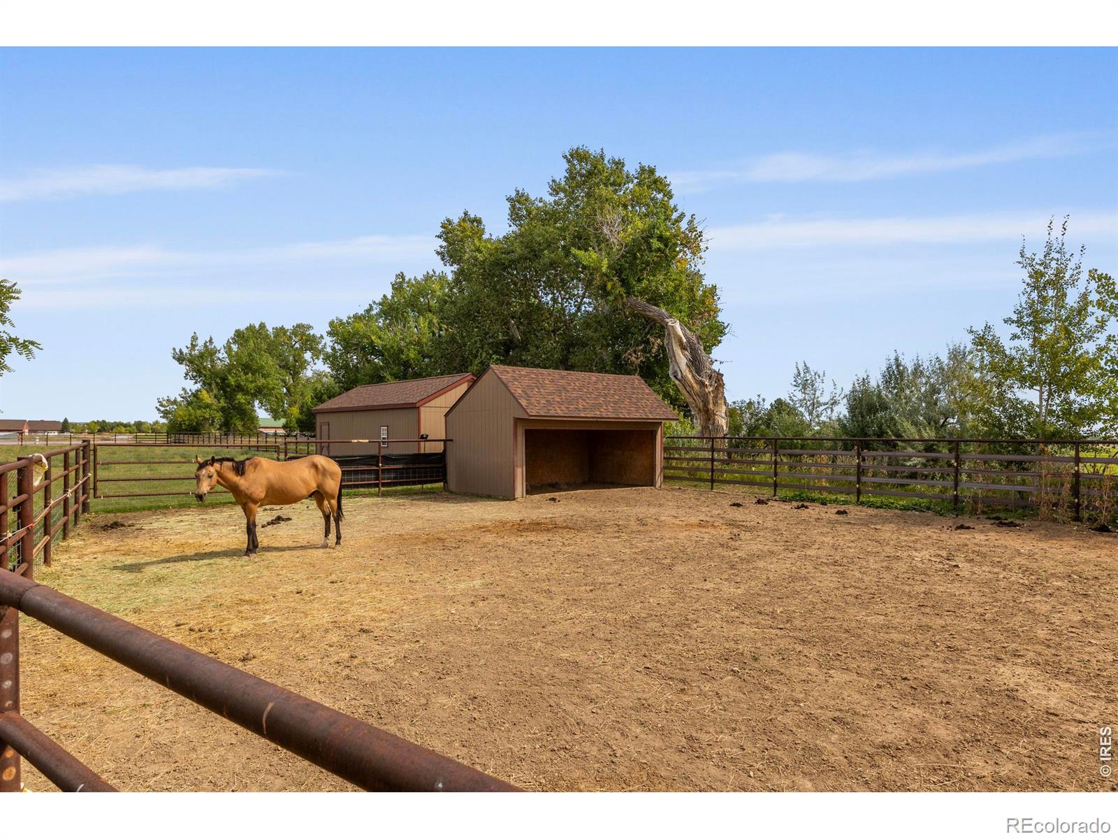 4260 S County Road 23 Loveland CO 80537