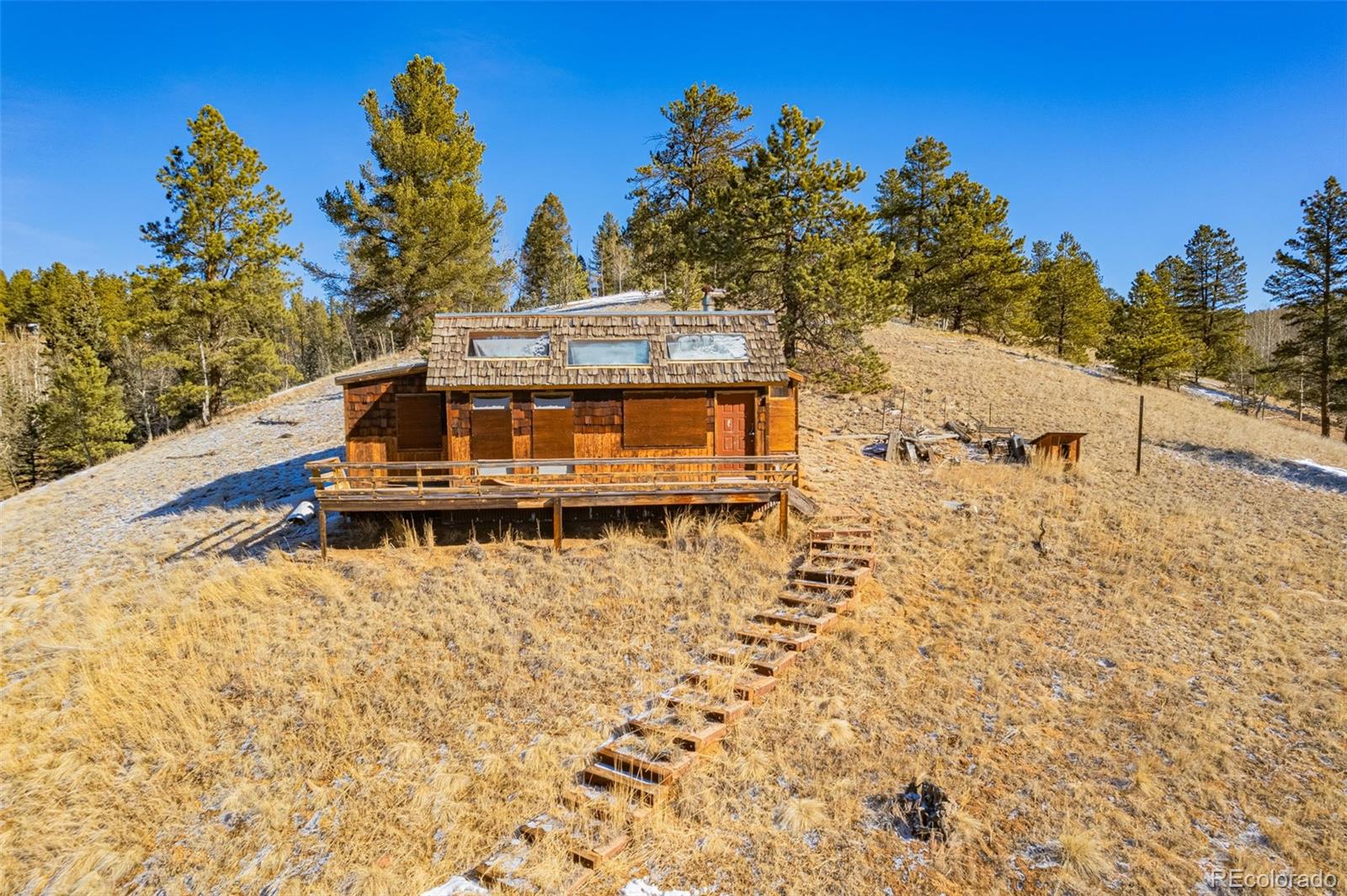 69 Snowberry Creek Road Florissant CO 80816