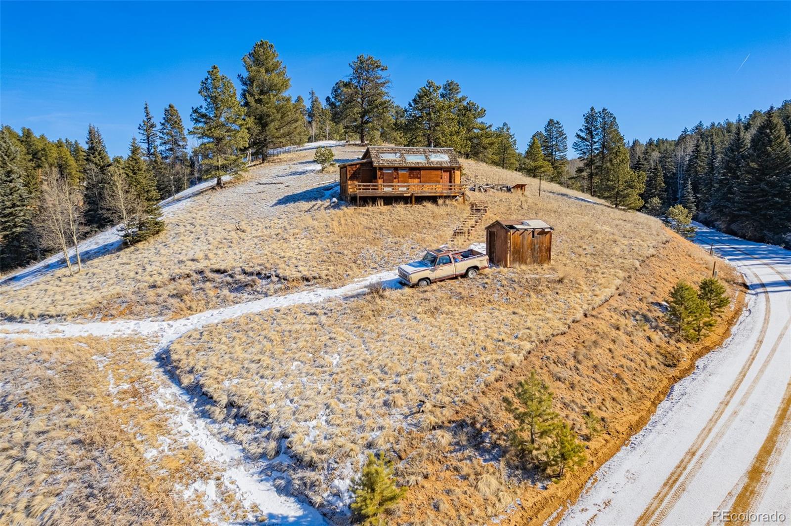 69 Snowberry Creek Road Florissant CO 80816