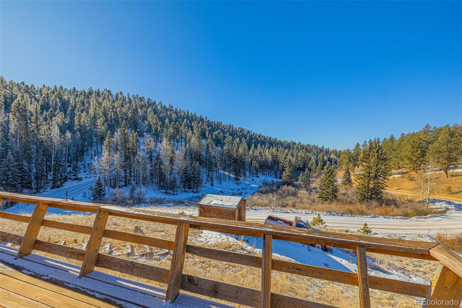 69 Snowberry Creek Road Florissant CO 80816