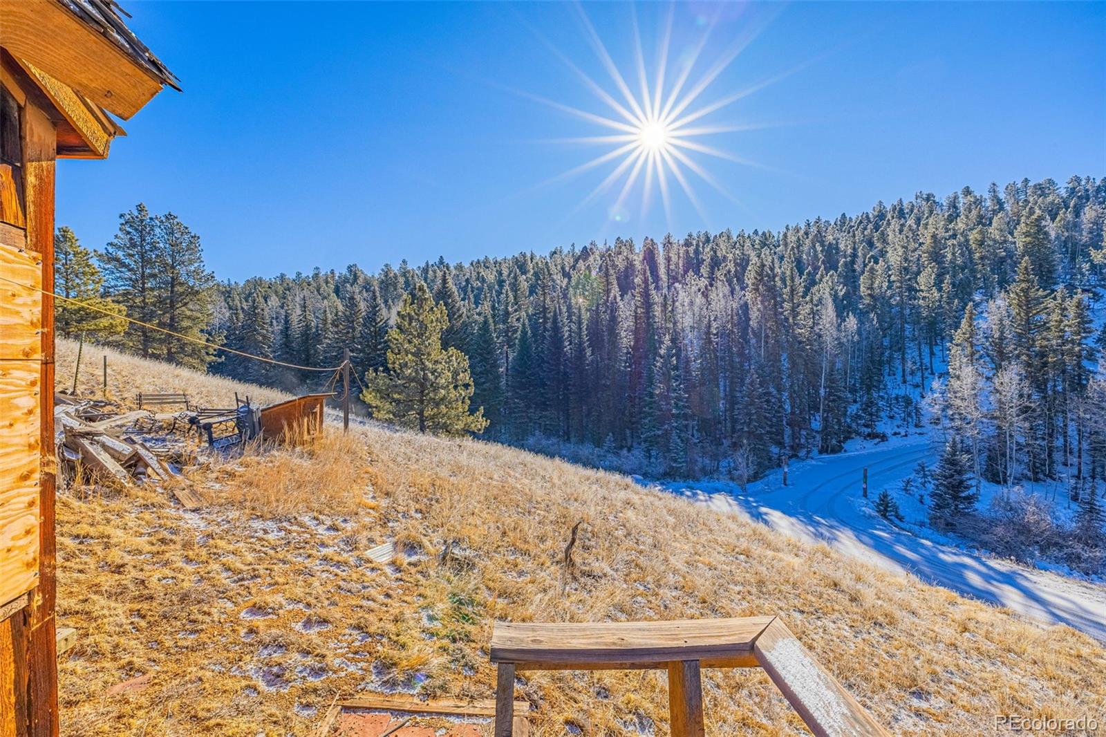 69 Snowberry Creek Road Florissant CO 80816