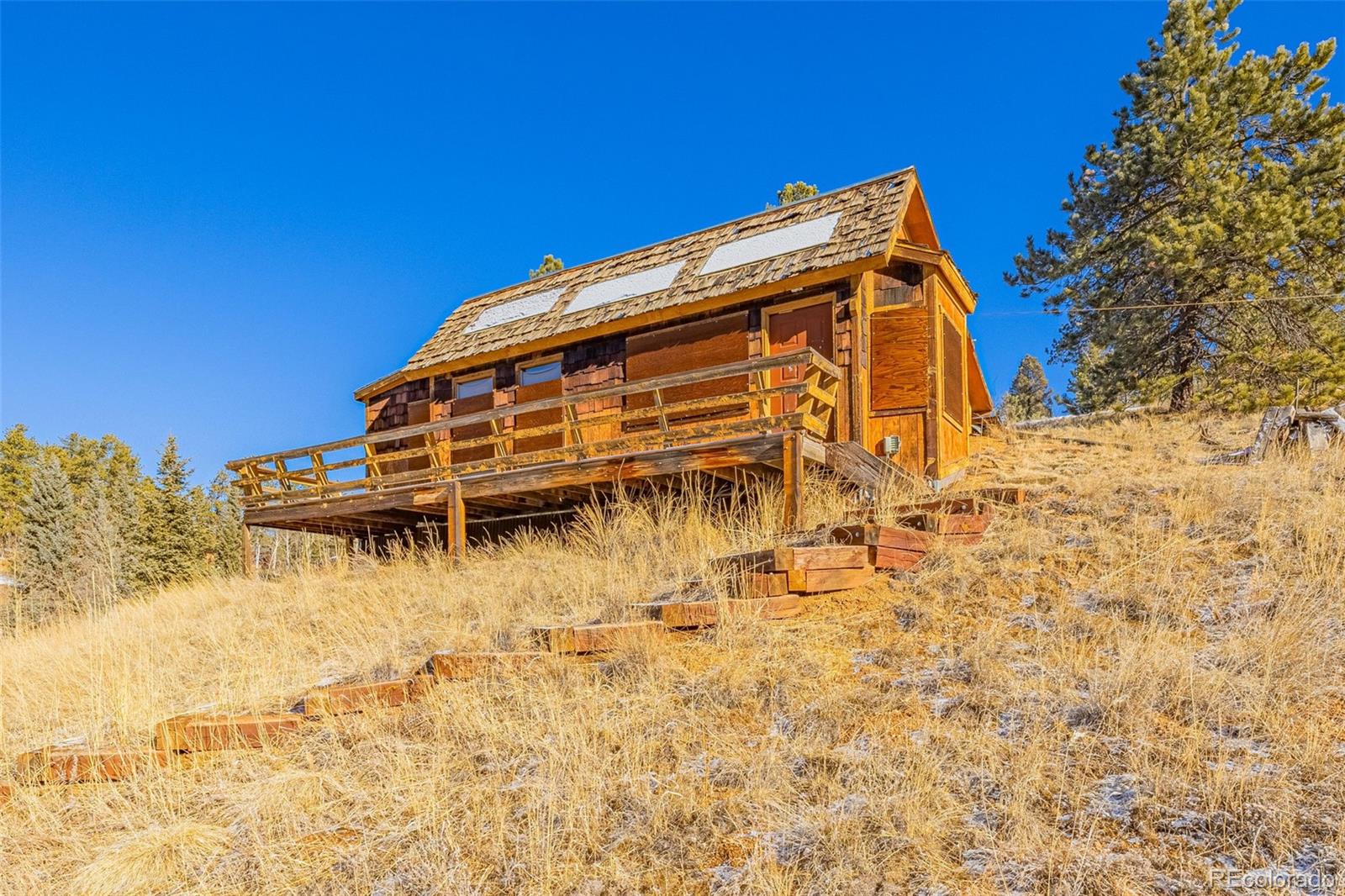 69 Snowberry Creek Road Florissant CO 80816