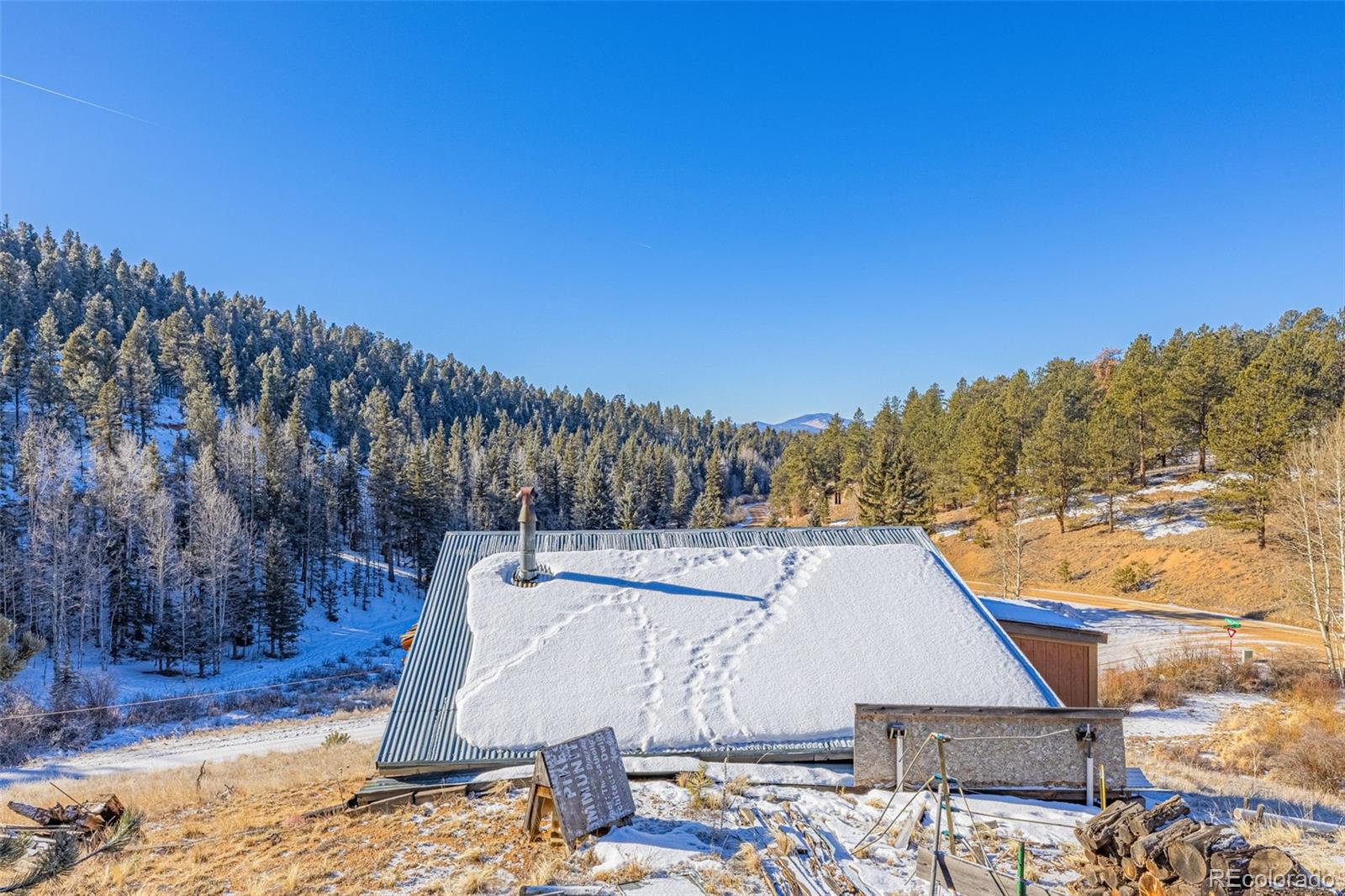 69 Snowberry Creek Road Florissant CO 80816
