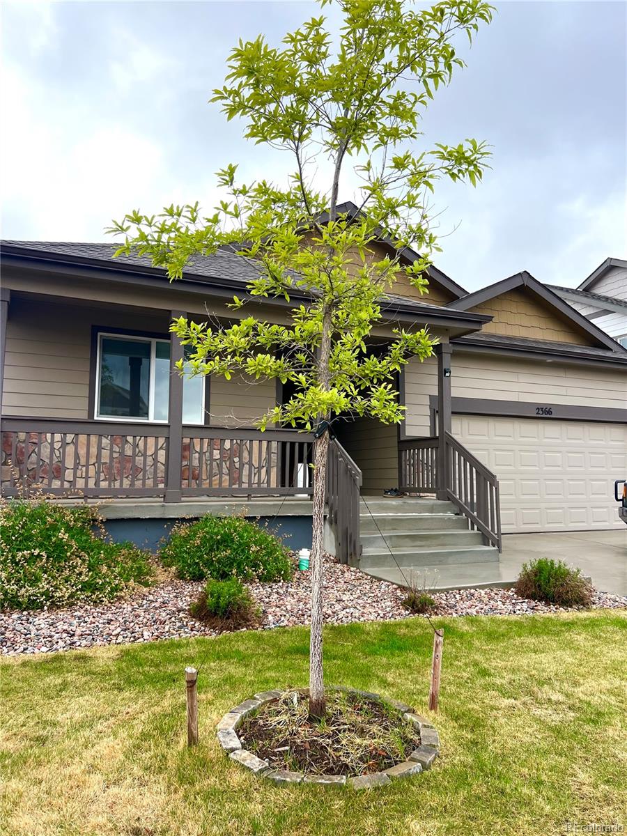 2366 Blissful Lane Windsor CO 80550