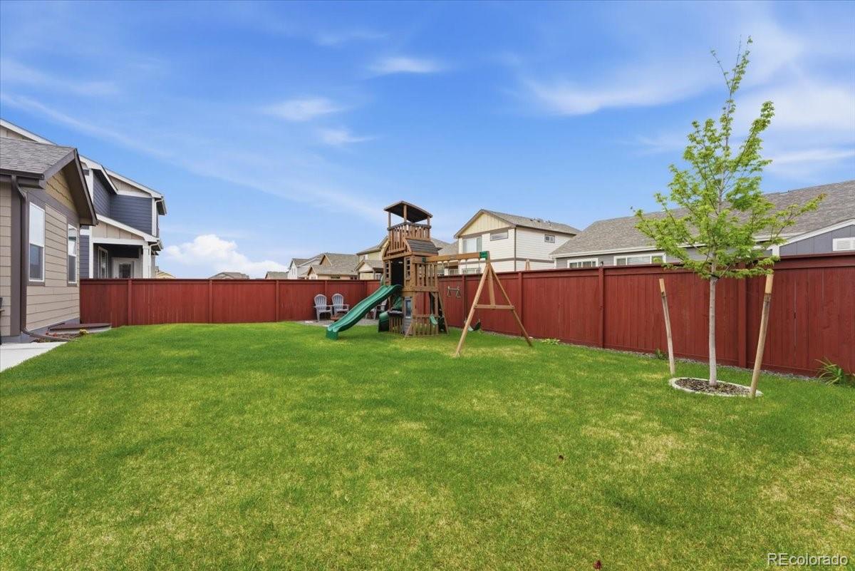 2366 Blissful Lane Windsor CO 80550