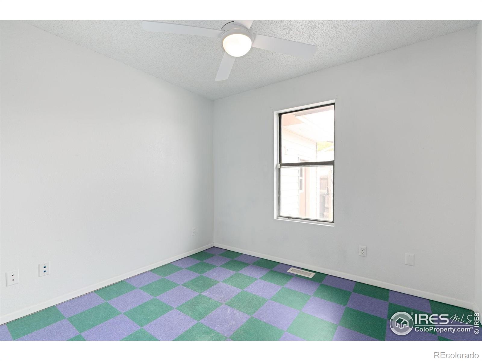 207 Cave Avenue Pierce CO 80650