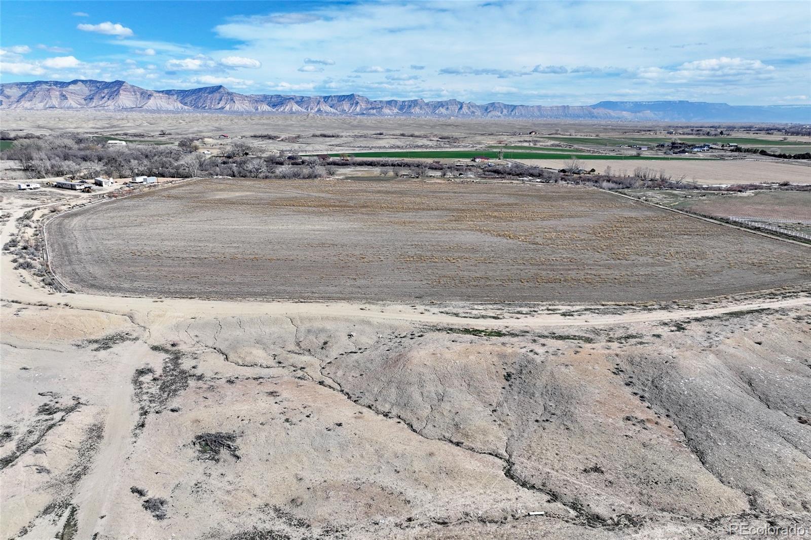 1537 19 Road Fruita CO 81521