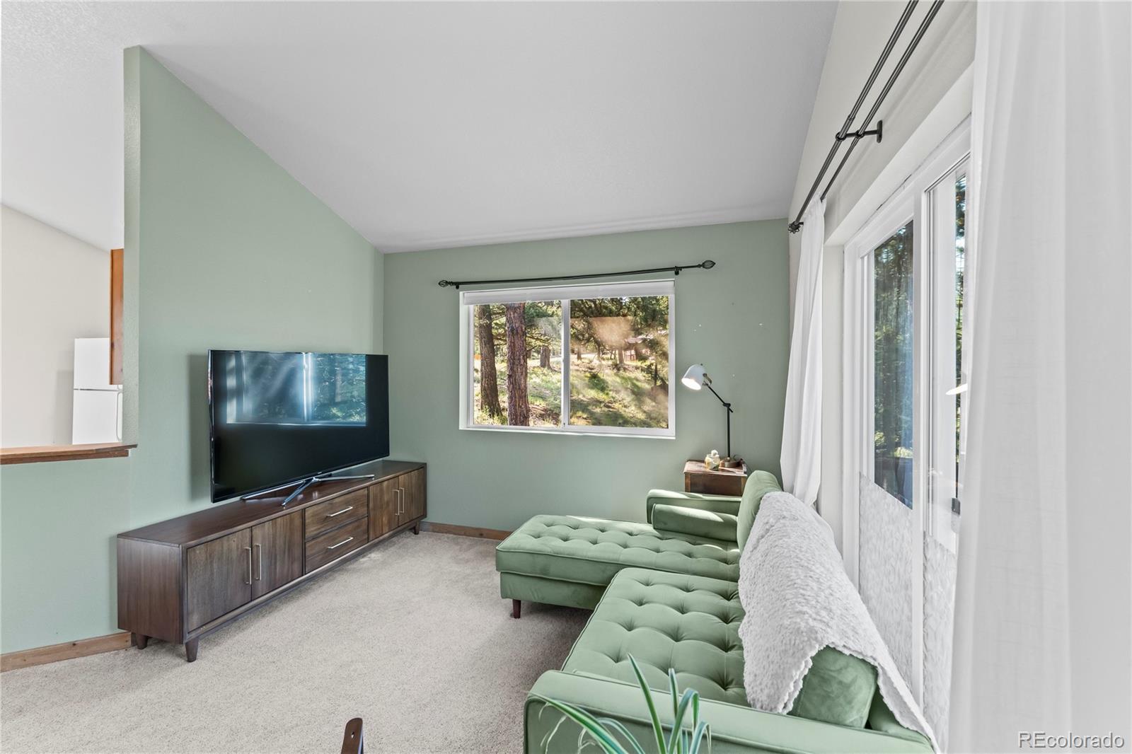 215 Southpark Road Florissant CO 80816