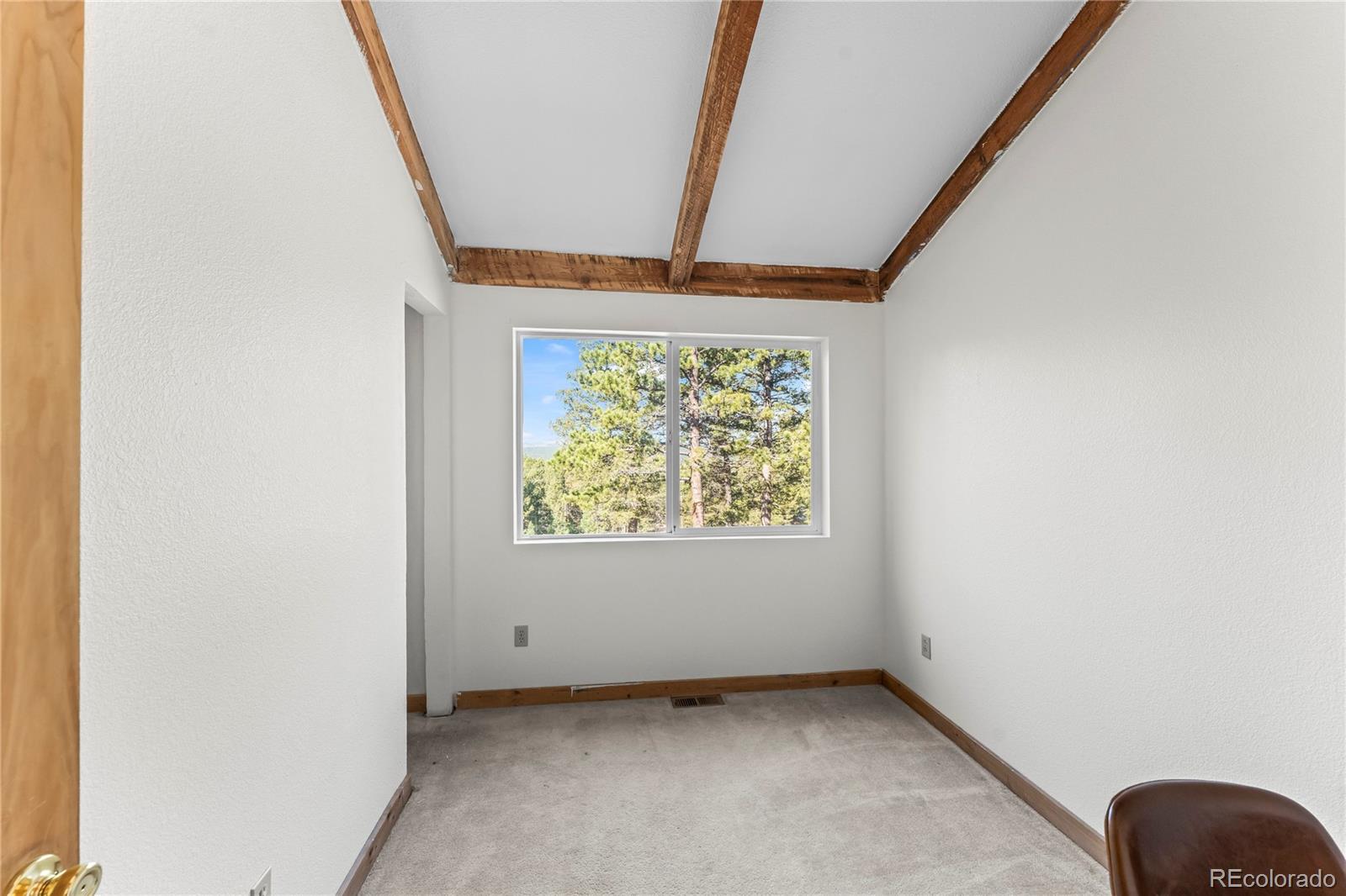 215 Southpark Road Florissant CO 80816