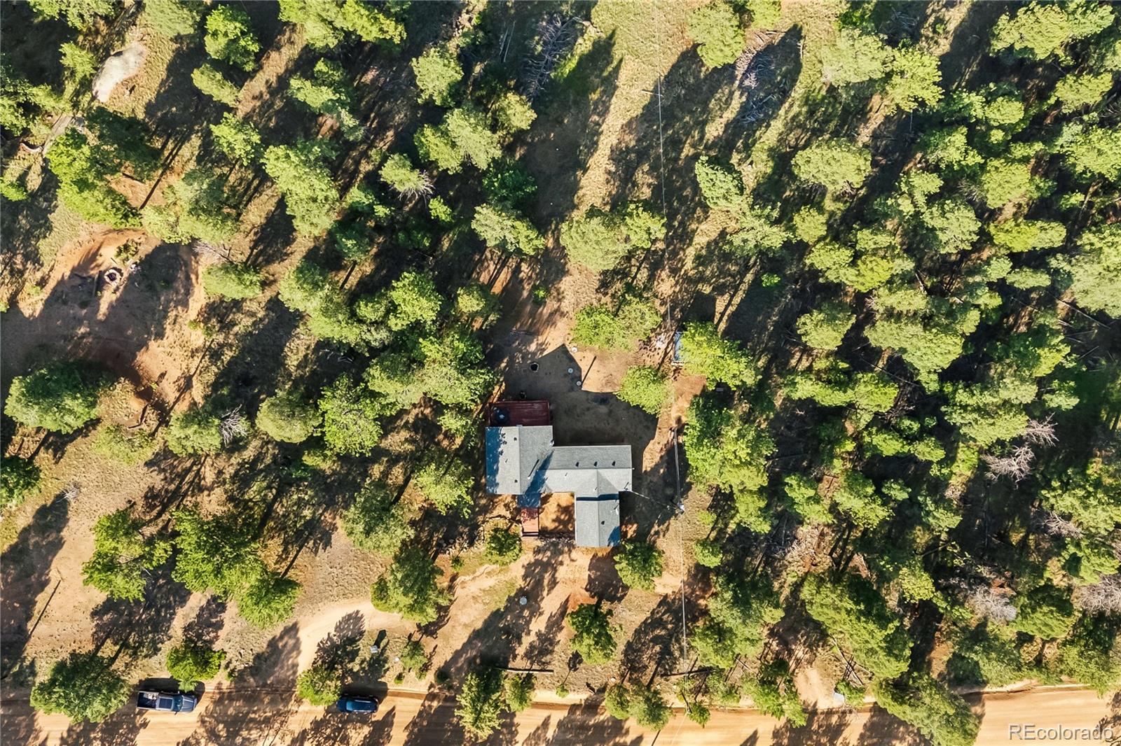 215 Southpark Road Florissant CO 80816
