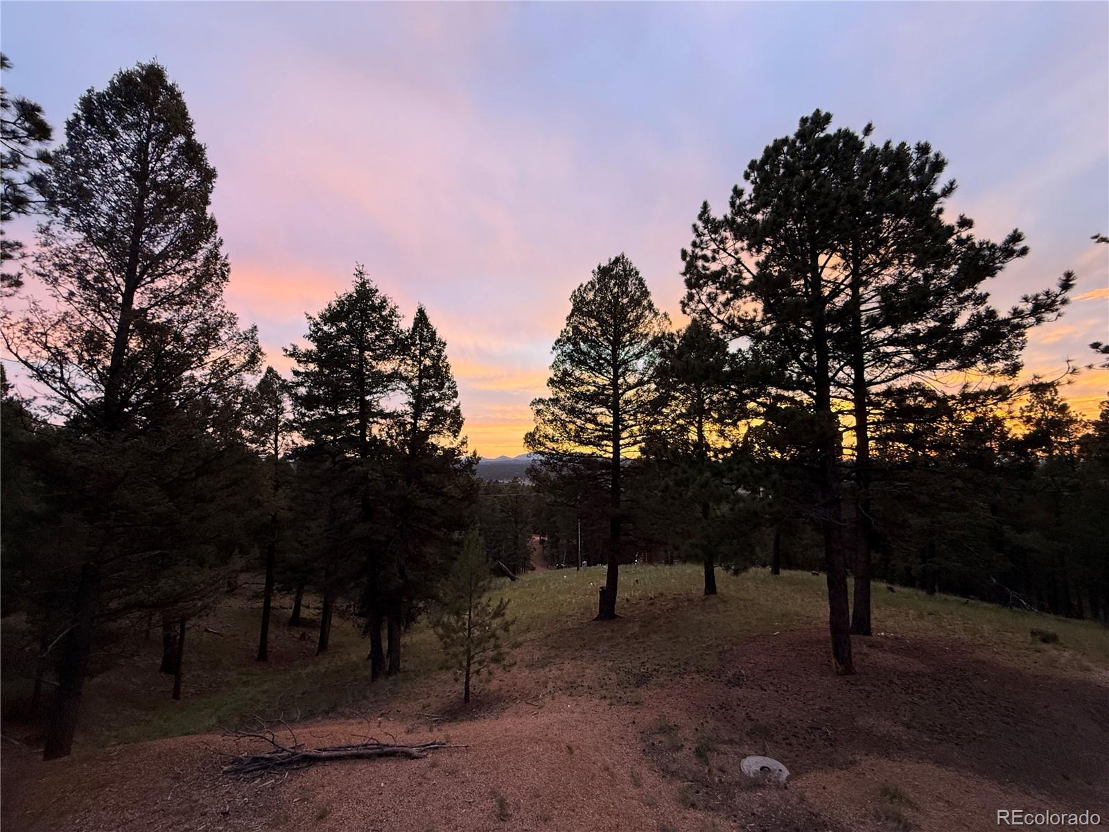 215 Southpark Road Florissant CO 80816