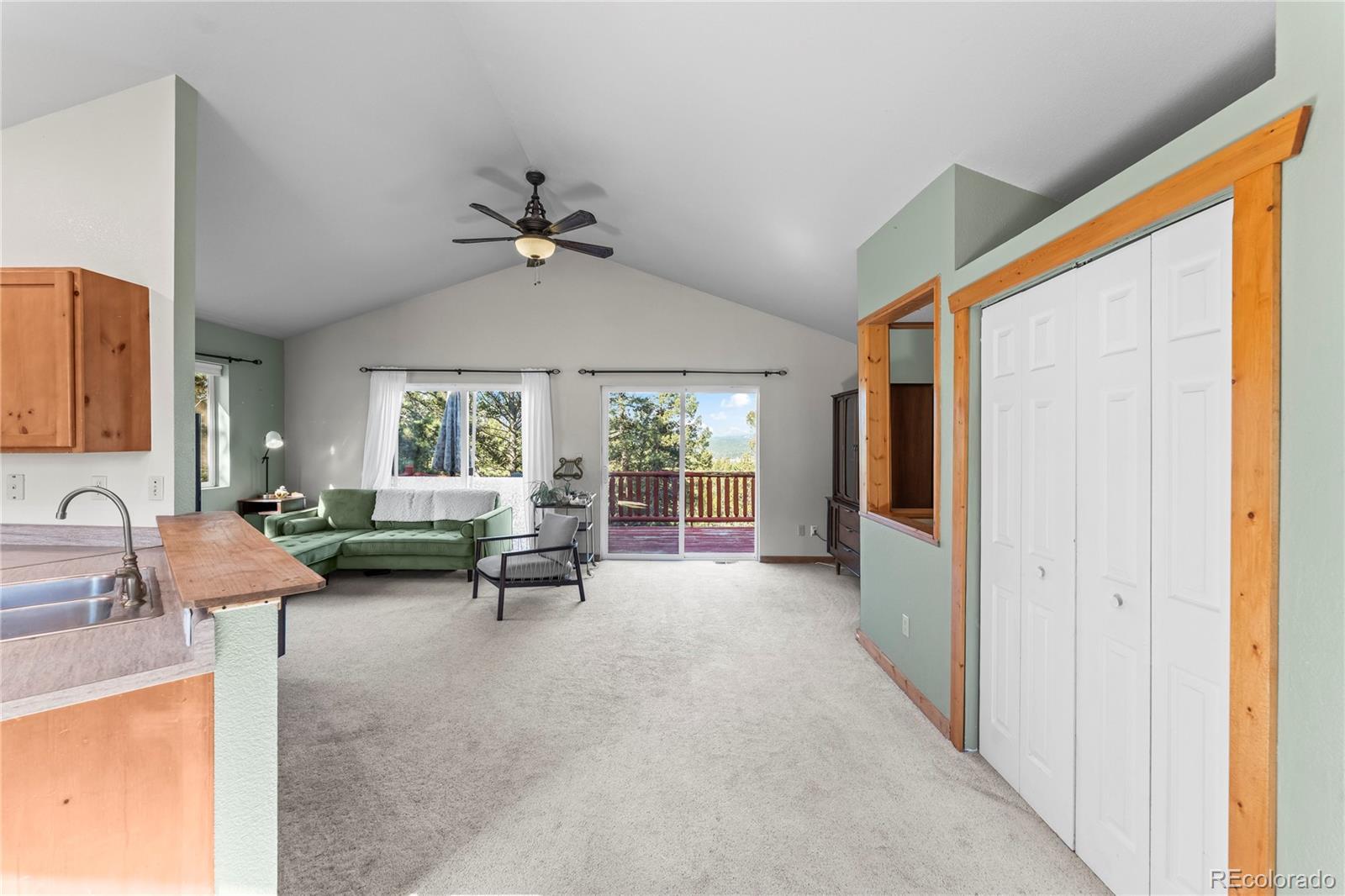 215 Southpark Road Florissant CO 80816