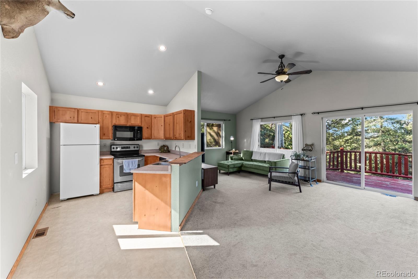 215 Southpark Road Florissant CO 80816