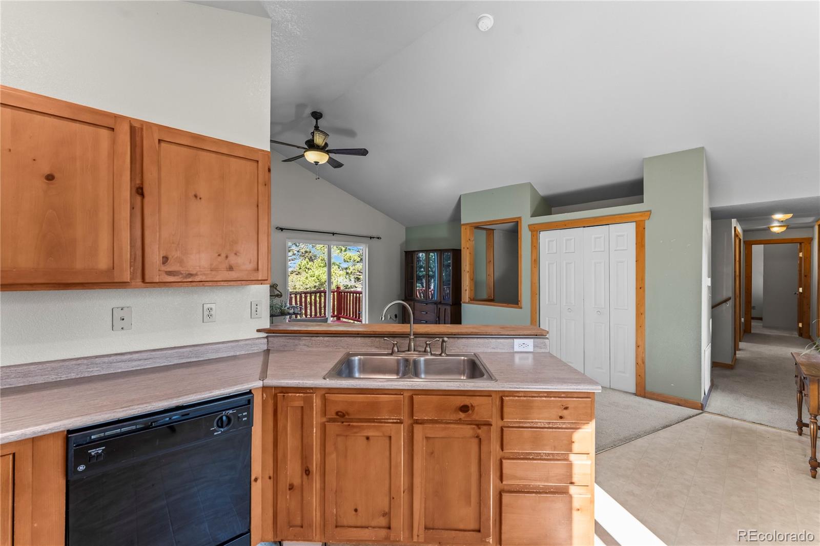 215 Southpark Road Florissant CO 80816