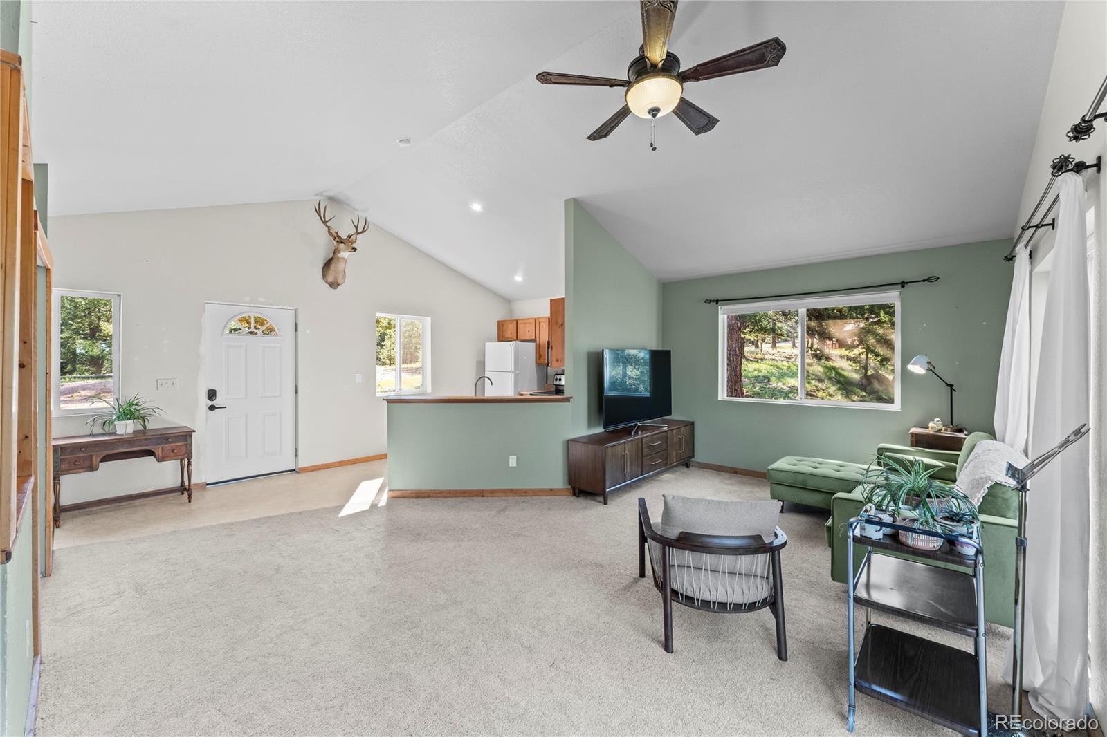 215 Southpark Road Florissant CO 80816