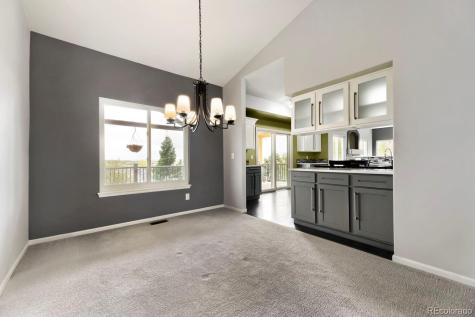 21630 Crestone Needles Drive Parker CO 80138