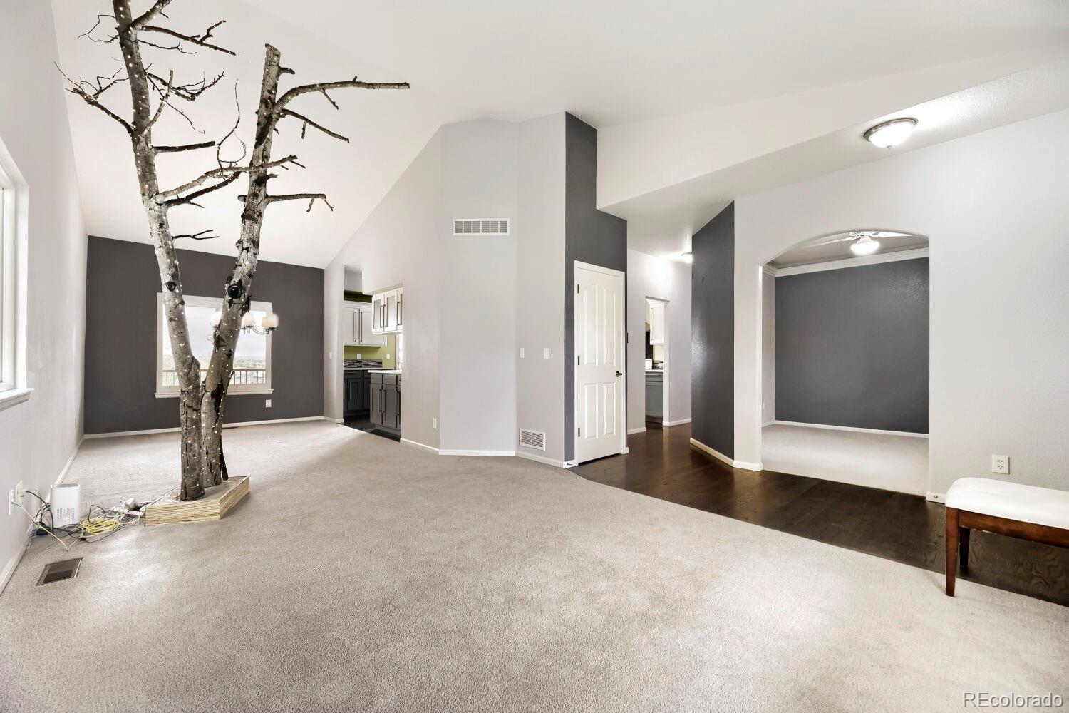 21630 Crestone Needles Drive Parker CO 80138