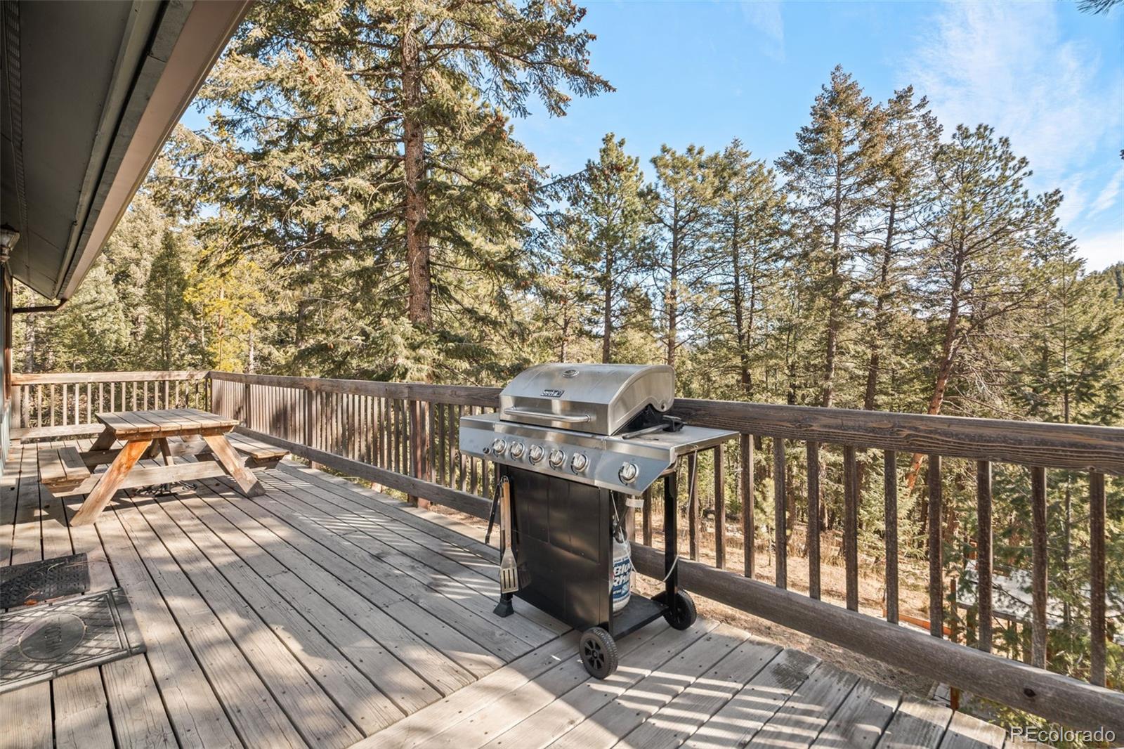 31653 Ponderosa Way Evergreen CO 80439