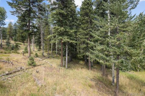6791 Brook Forest Drive Evergreen CO 80439
