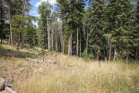 6791 Brook Forest Drive Evergreen CO 80439