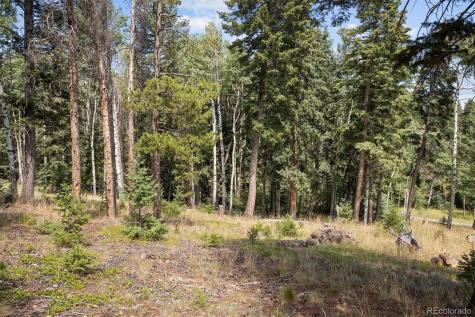 6791 Brook Forest Drive Evergreen CO 80439