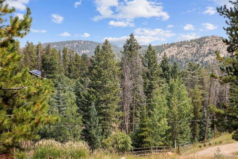 6791 Brook Forest Drive Evergreen CO 80439