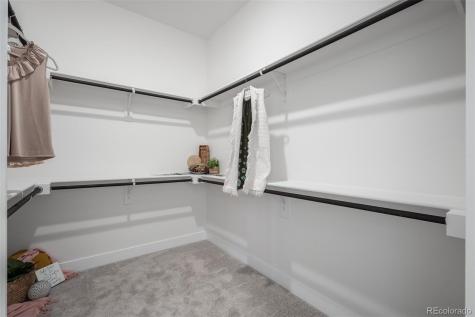 8850 Frolic View Colorado Springs CO 80924