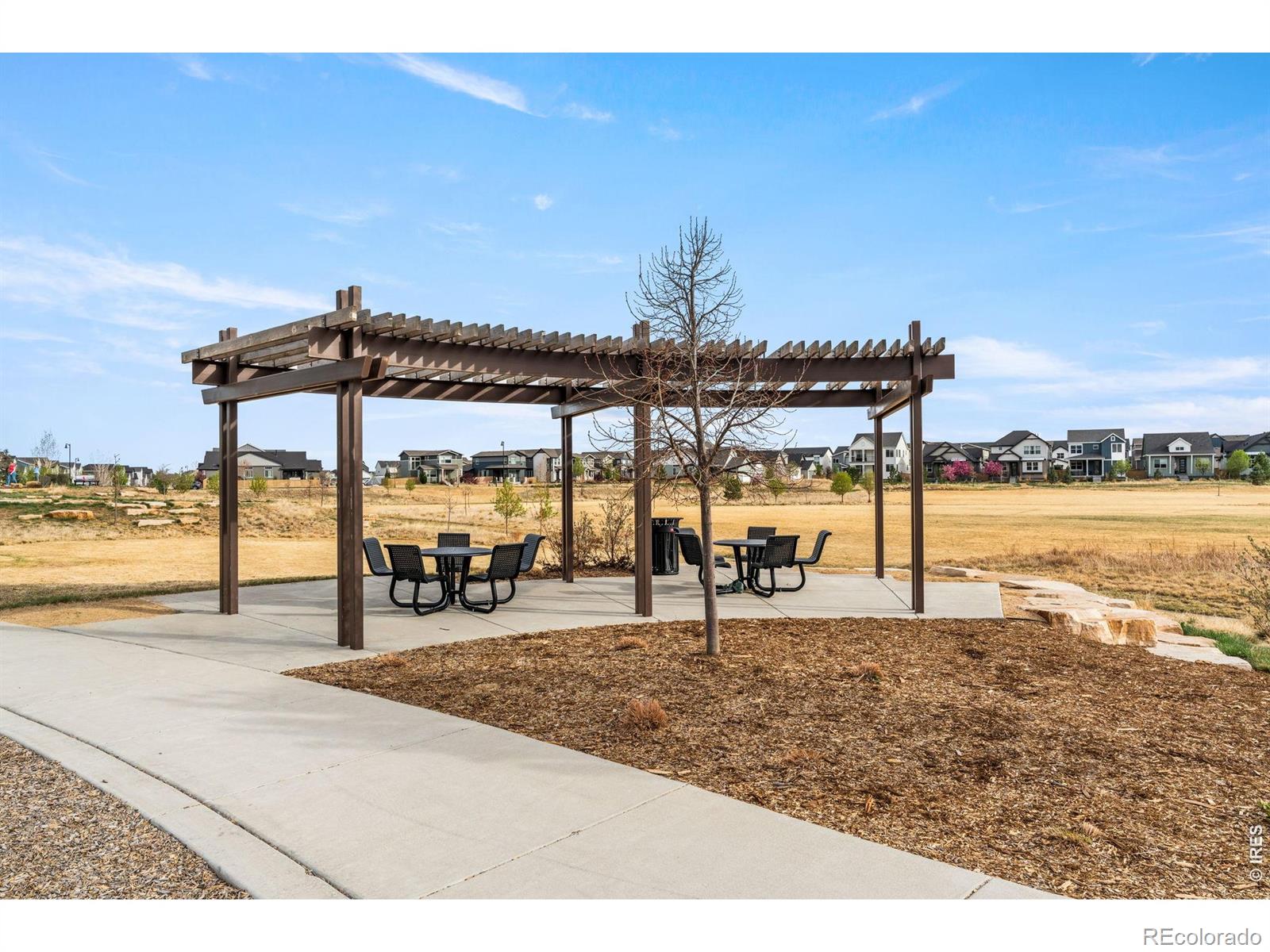 5018 Leopold Lane Timnath CO 80547