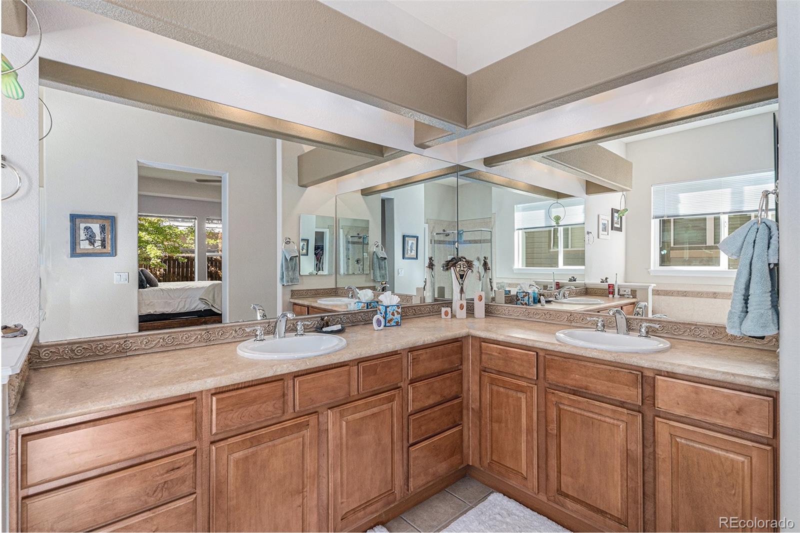 853 Dales Pony Drive Castle Rock CO 80104