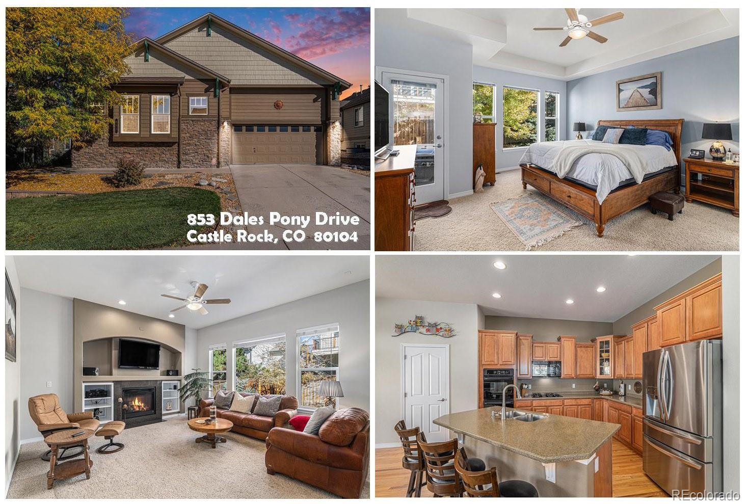 853 Dales Pony Drive Castle Rock CO 80104