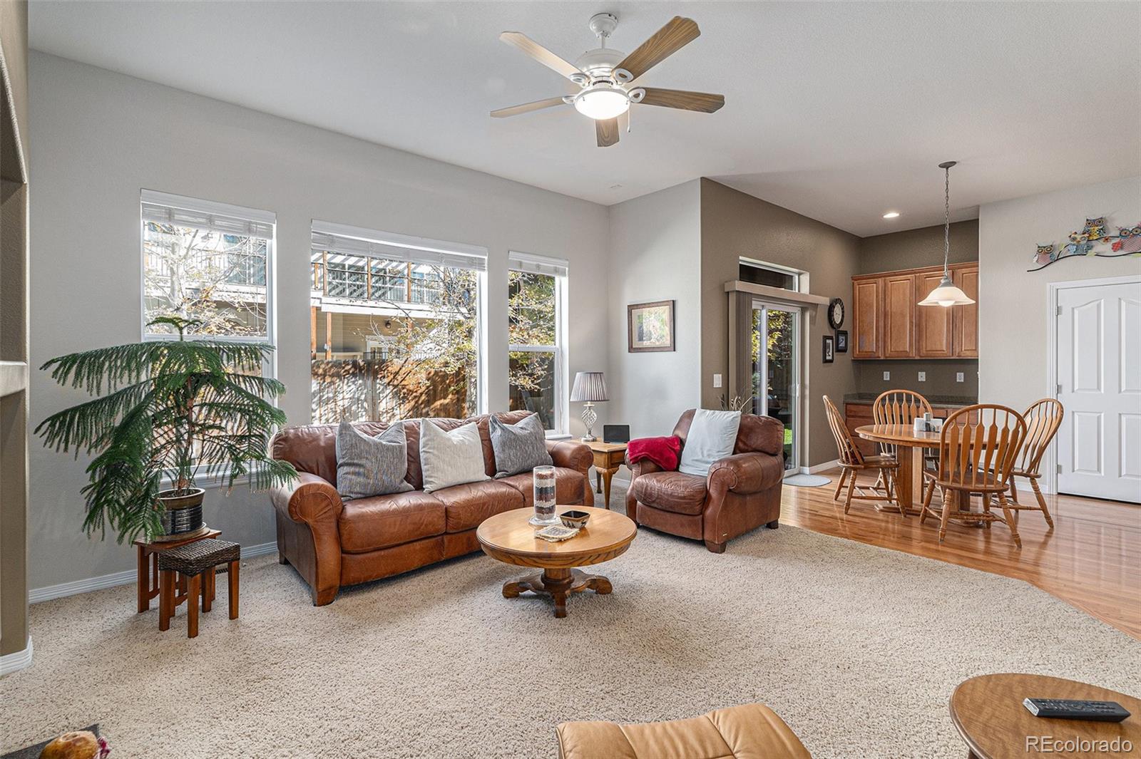 853 Dales Pony Drive Castle Rock CO 80104