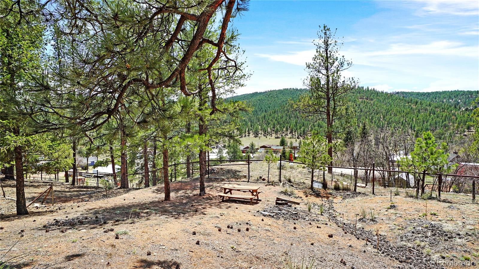 28368 Cedar Avenue Pine CO 80470