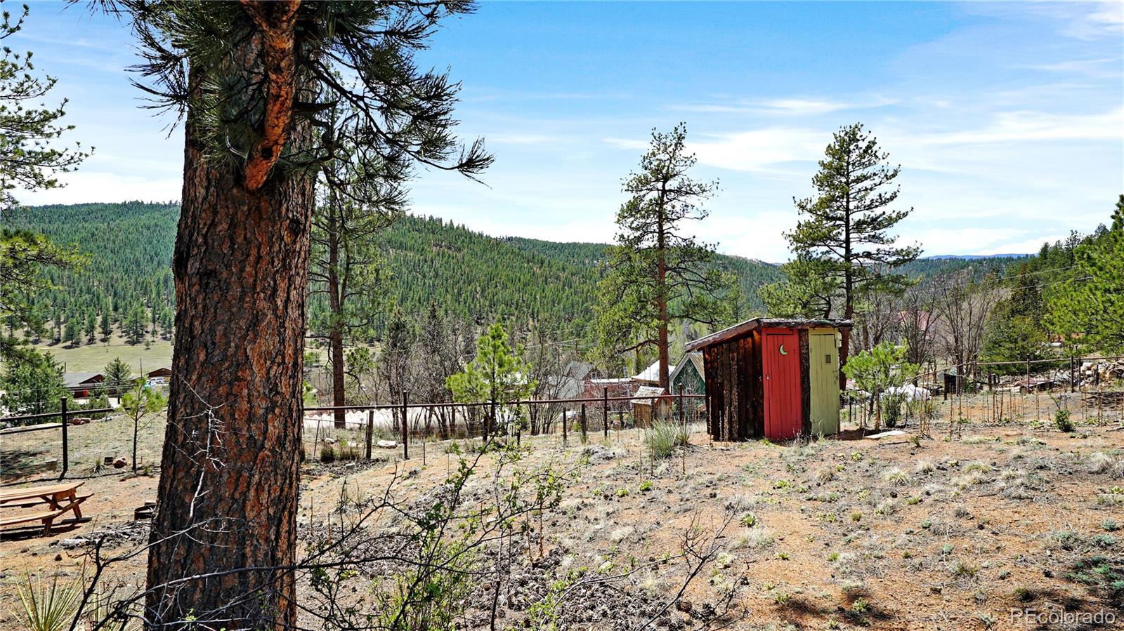 28368 Cedar Avenue Pine CO 80470