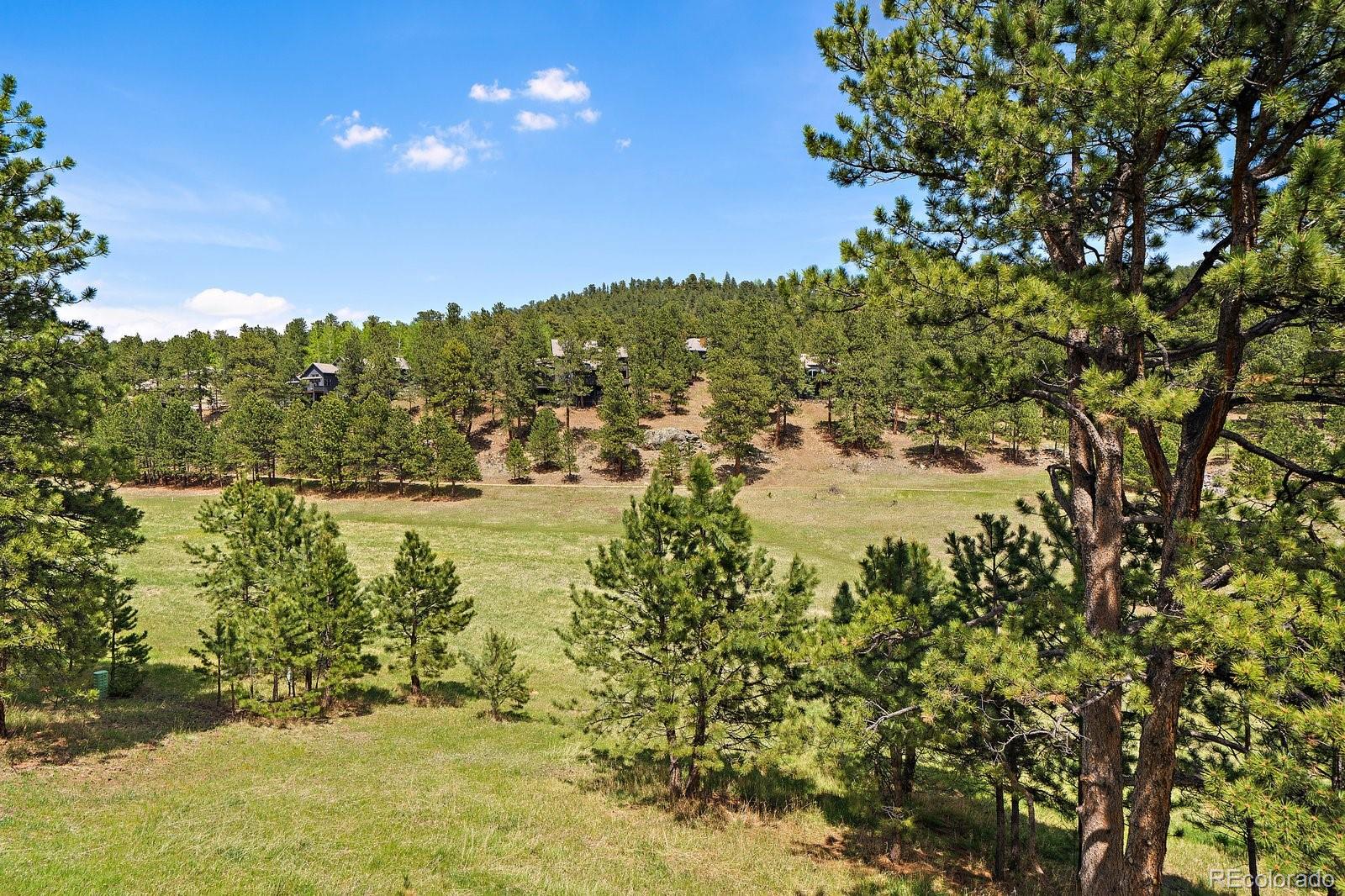 31353 N Bermuda Dunes Drive Evergreen CO 80439