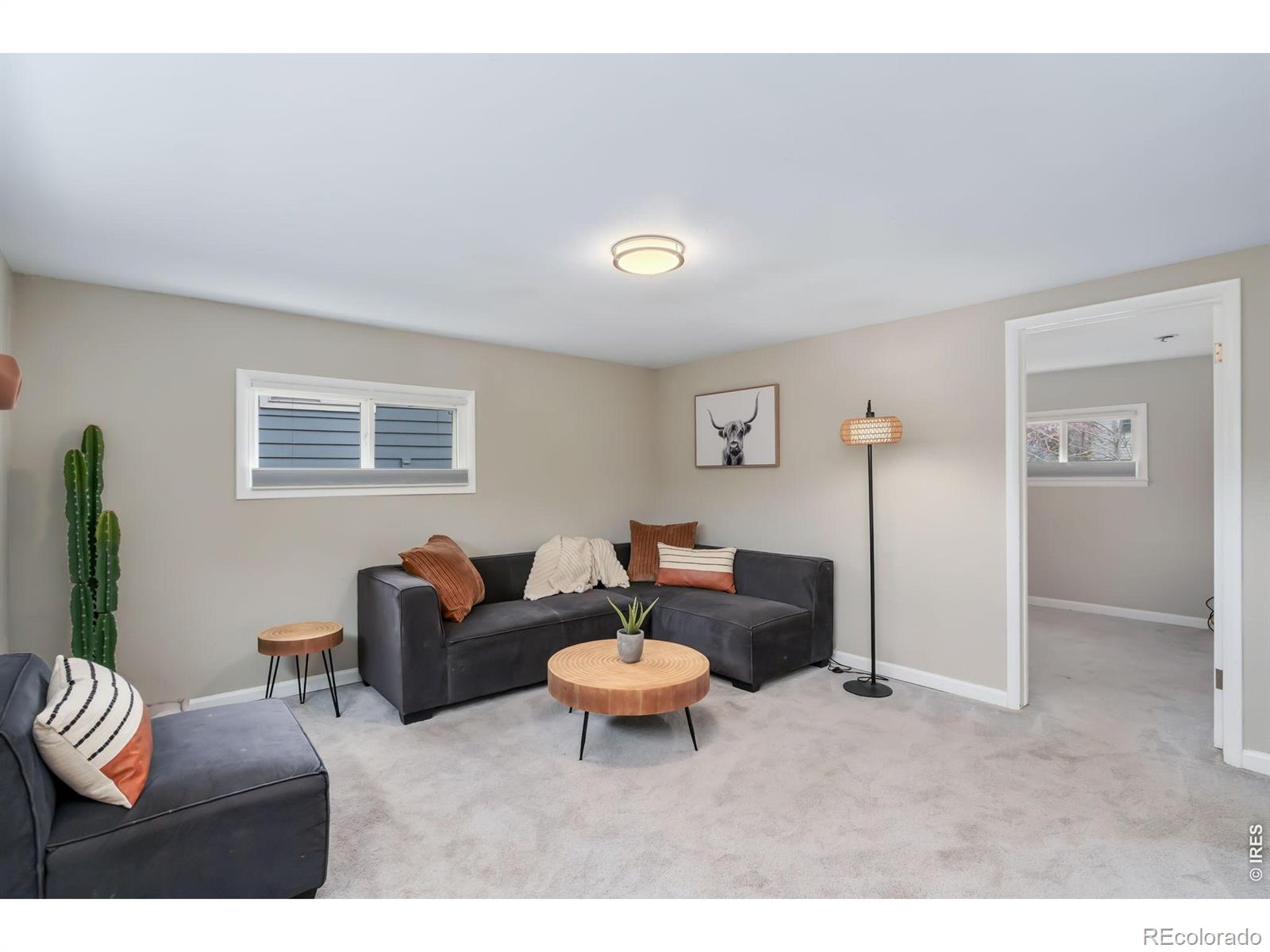 537 Crestmore Place Fort Collins CO 80521