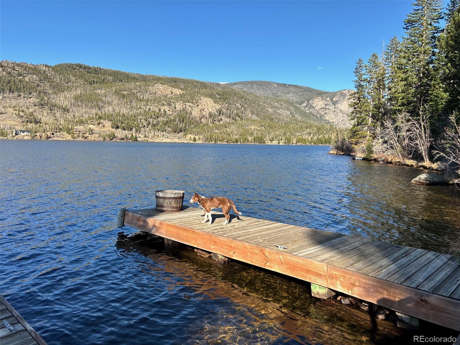 1423 Grand County Road 697 Grand Lake CO 80447