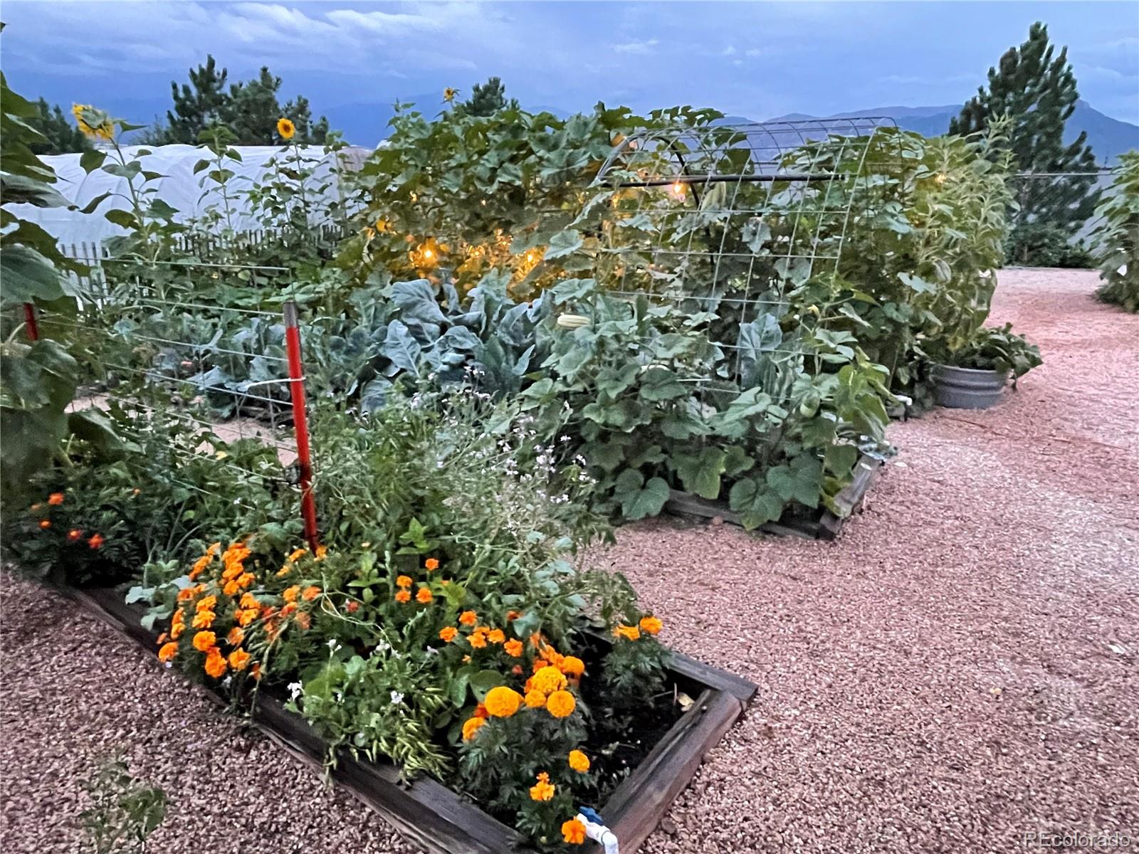1911 Copley Road Colorado Springs CO 80920