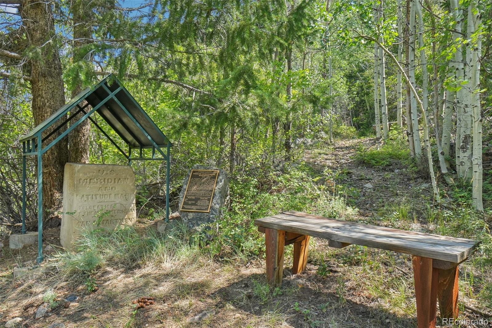 203 9th Street Georgetown CO 80444