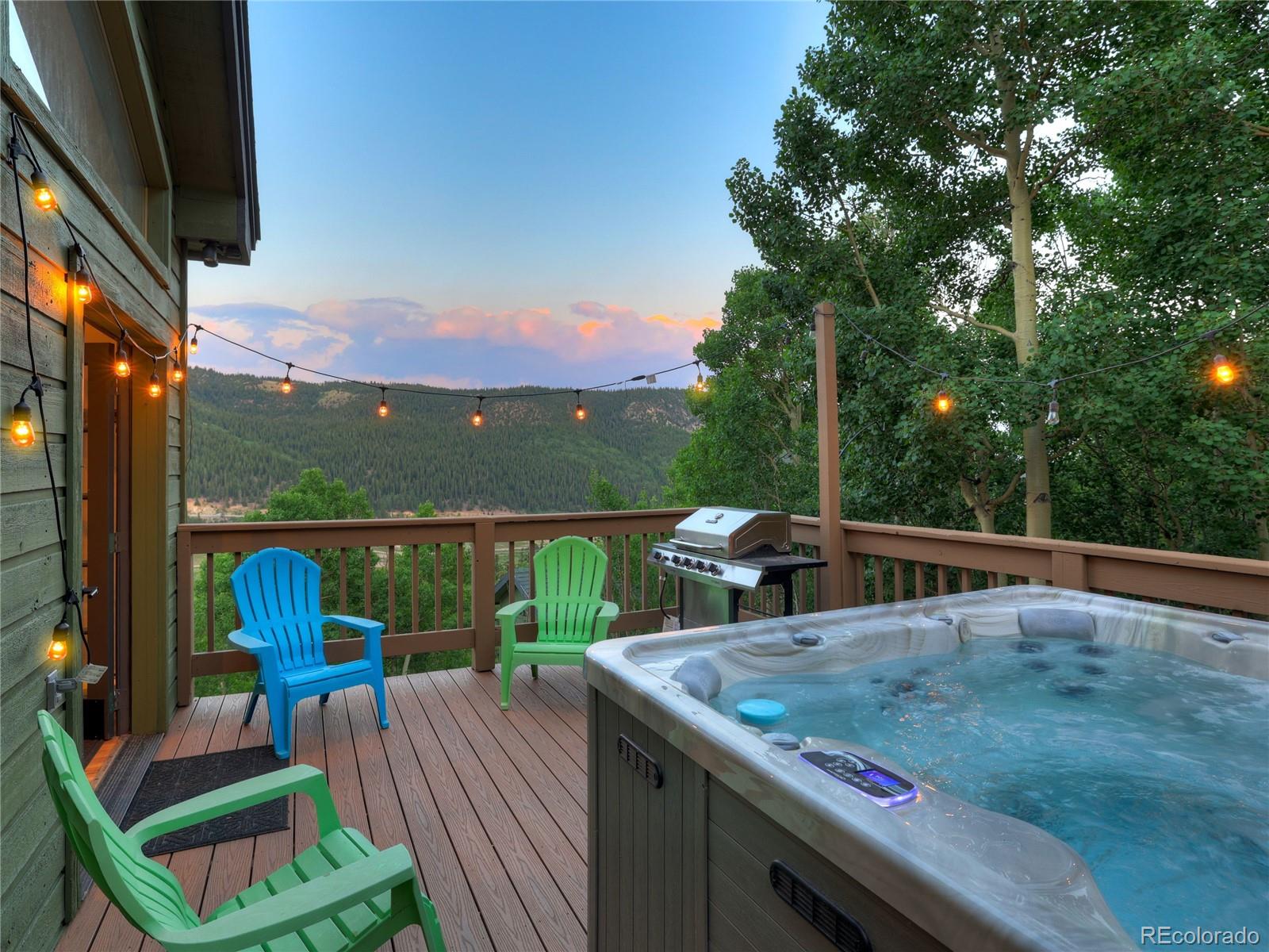 1095 Quartzville Alma CO 80440
