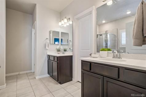 6994 Peachleaf Drive Colorado Springs CO 80925