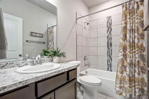 6994 Peachleaf Drive Colorado Springs CO 80925