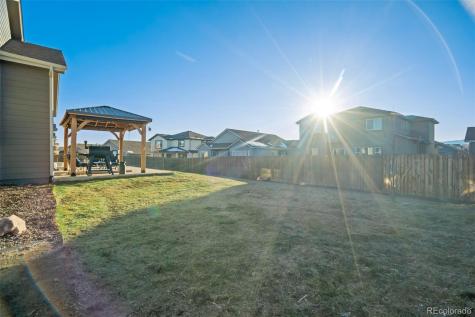 6994 Peachleaf Drive Colorado Springs CO 80925