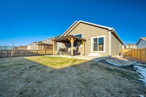 6994 Peachleaf Drive Colorado Springs CO 80925